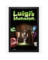 Trendy Nintendo Luigi'S Mansion Poster $10.96 Posters